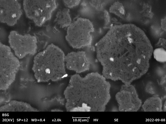 Battery Cathode material prepared with the CP-8000+ Ion Mill and imaged with a Coxem EM-30 Tabletop SEM.