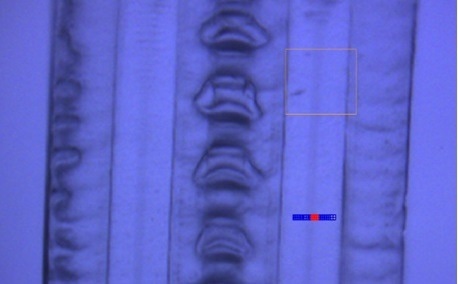 40 x optical image of film two embedded in epoxy. Markers represent an 11 µm line array with 250 nm spacing.