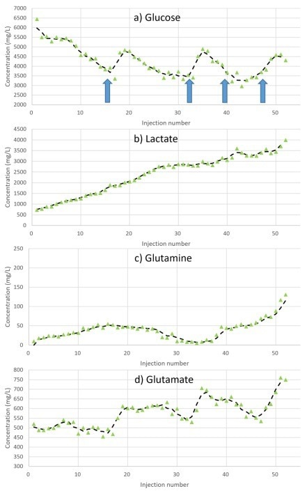 Metabolite concentration profiles during the 10 L cell culture when testing the Microsaic Metabolite Monitoring PAT system. Glucose feeding (large bolus) interventions are shown as arrows.