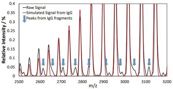 Additional peaks in the mass-to-charge spectra could be observed following elution from the Protein A column. Peaks from the IgG product at different charge states dominate the spectra and their positions can be seen from the simulated IgG spectrum overlaid in red. Additional peaks that do not match with the red spectrum can be observed and are highlighted with blue arrows. These peaks can be assigned to masses indicative of IgG fragments.