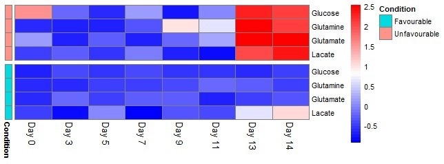 Heat map of z-scores for the difference between photometric analyzer and HILIC-MS measurements across time-points and conditions. Large deviations between measurements are observed after ~11 days for the unfavourable samples. This is represented as the red area in the top right of the heat map.