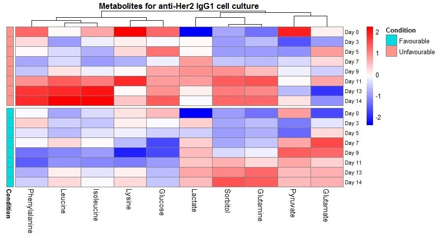 Heatmap of metabolite z-scores across timpoints and conditions. Clustering is from Euclidean distance.