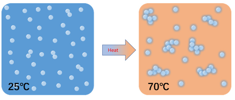 Schematic diagram of the denaturalization of BSA during heating
