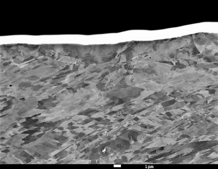 . The BSE image of the cap, the coating can be clearly seen on the top.