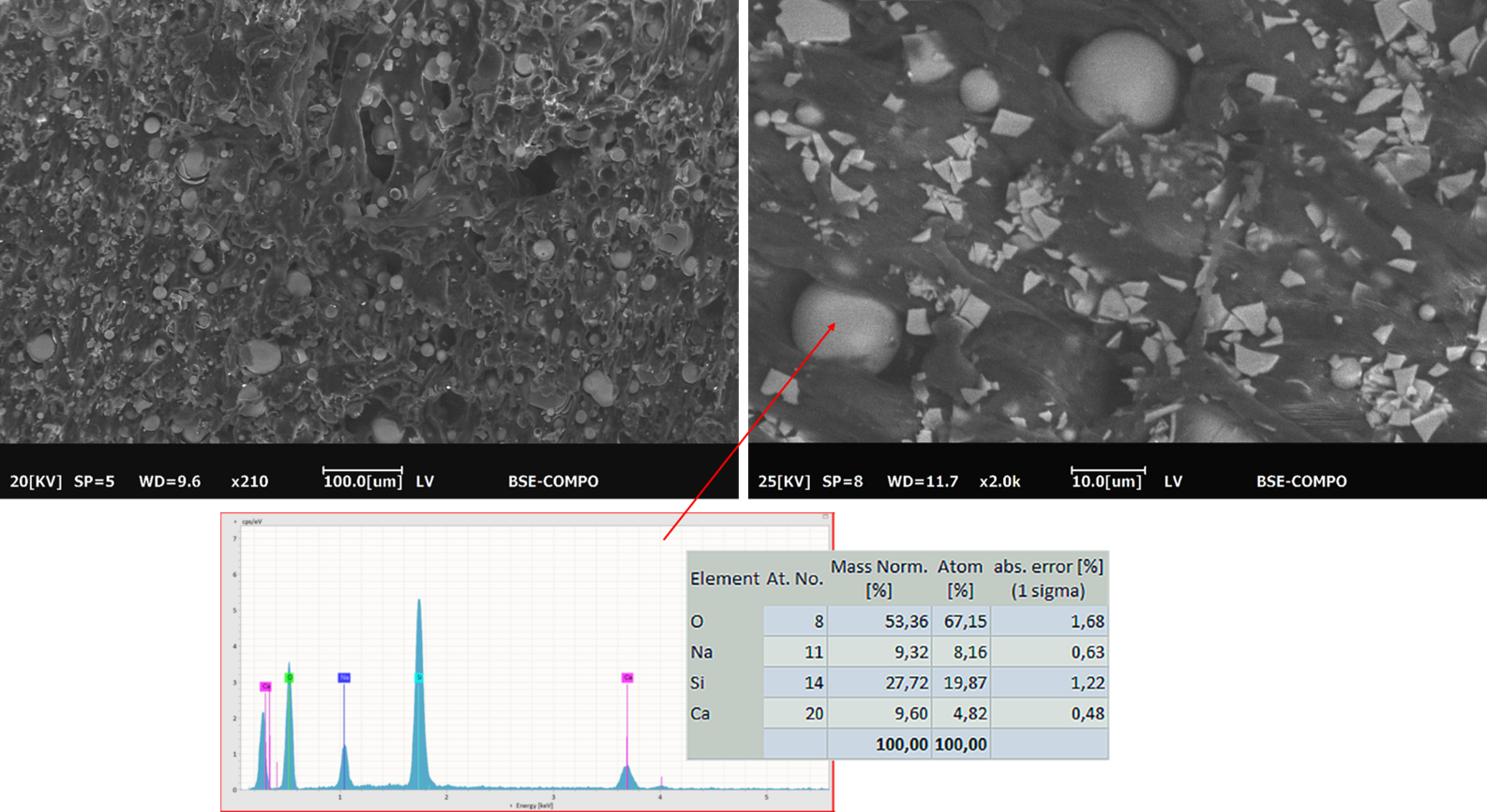 SEM-BSE images taken in Low Vacuum mode with Coxem CX-200plus at 20 and 25 kV on a polypropylene (PP) sample added with inorganic fillers. EDS spectrum at 15 kV shows the composition of the filler such as a silicate