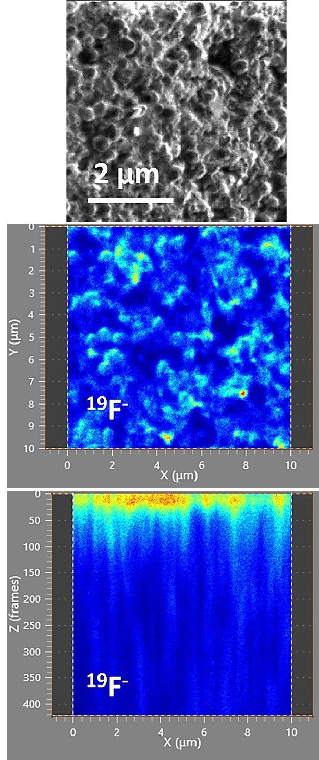 Top panel shows the secondary electron FIB image of the imaged area before erosion, middle and bottom panel show intensity map of the fluorine isotope from the top and along the depth