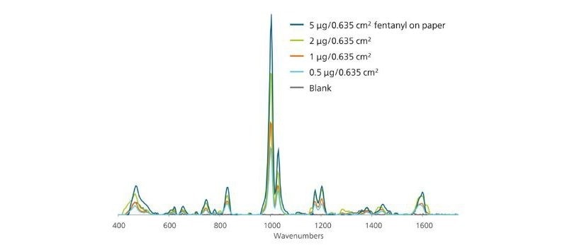 Strong SERS signature of fentanyl is detectable even at 0.5 ug—far below the typical dose of fentanyl in the real world