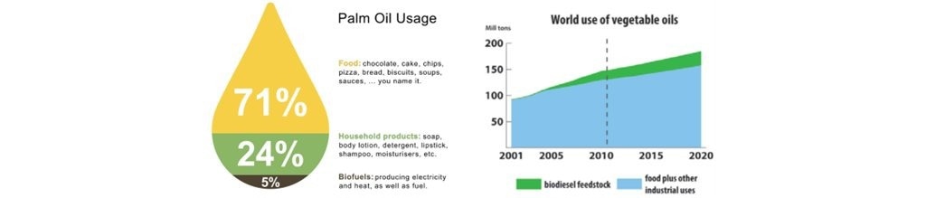 Palm oil usage statistics