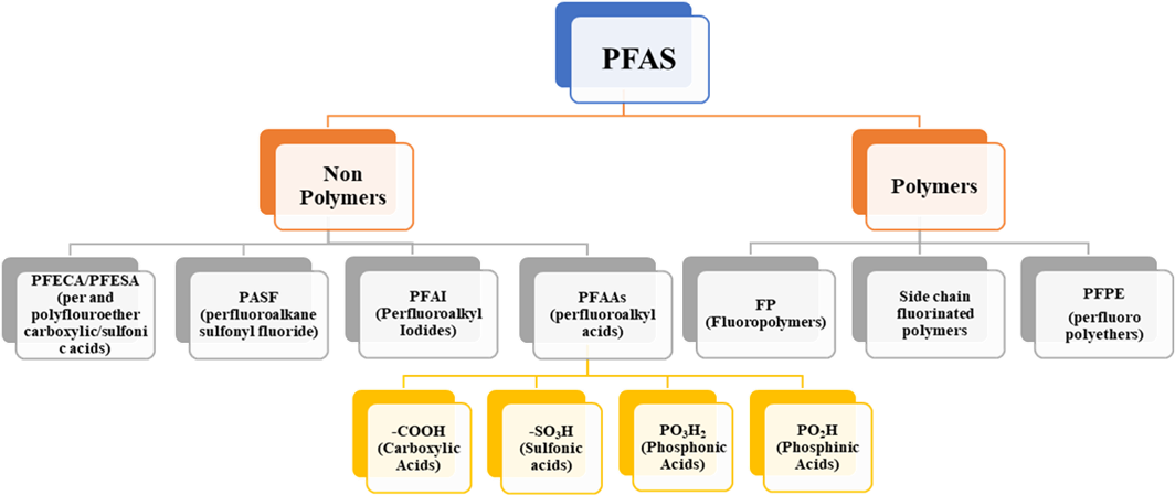 PFAS and their classifications.