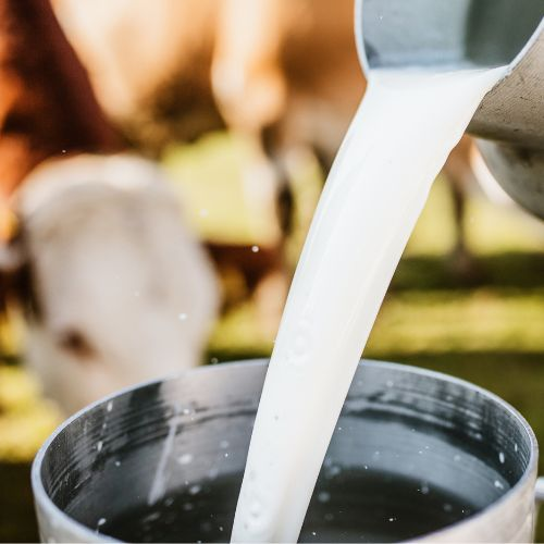 The Importance of Dairy Analysis Calibration