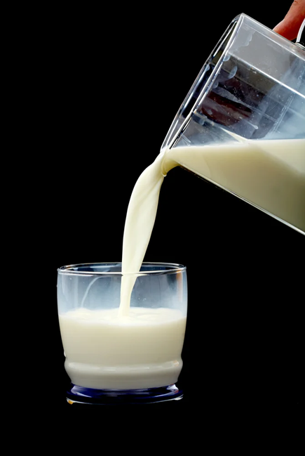 Dairy Products: Achieving Precision with Protein Analysis