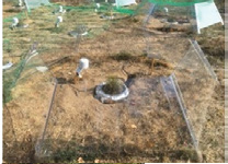 Implementation of warming treatment over mesocosm plot by clear open-top chamber.