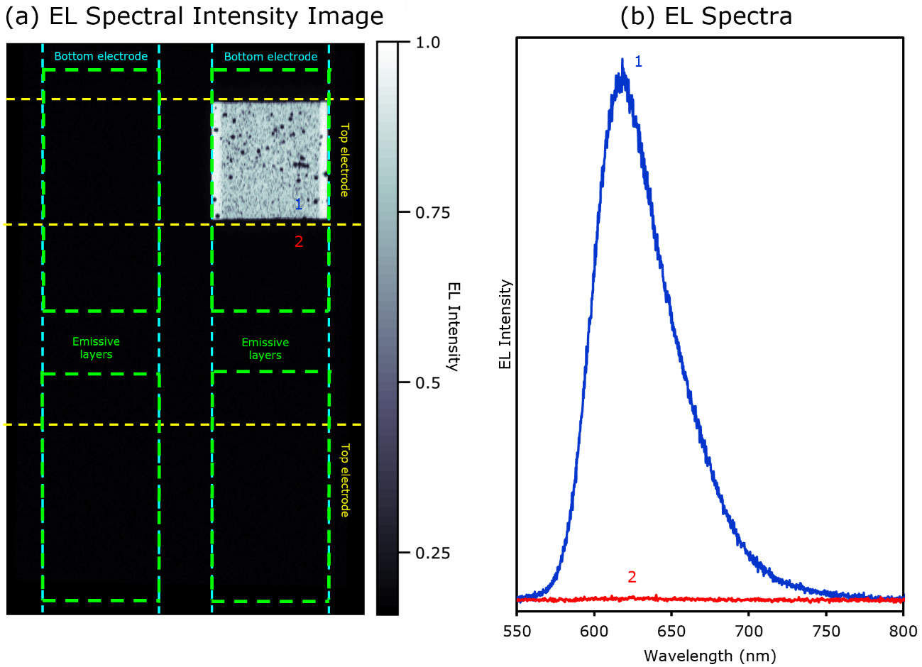 (a) Spectral EL image of OLED device. (b) EL spectra from points 1 and 2 labelled in the image in (a)