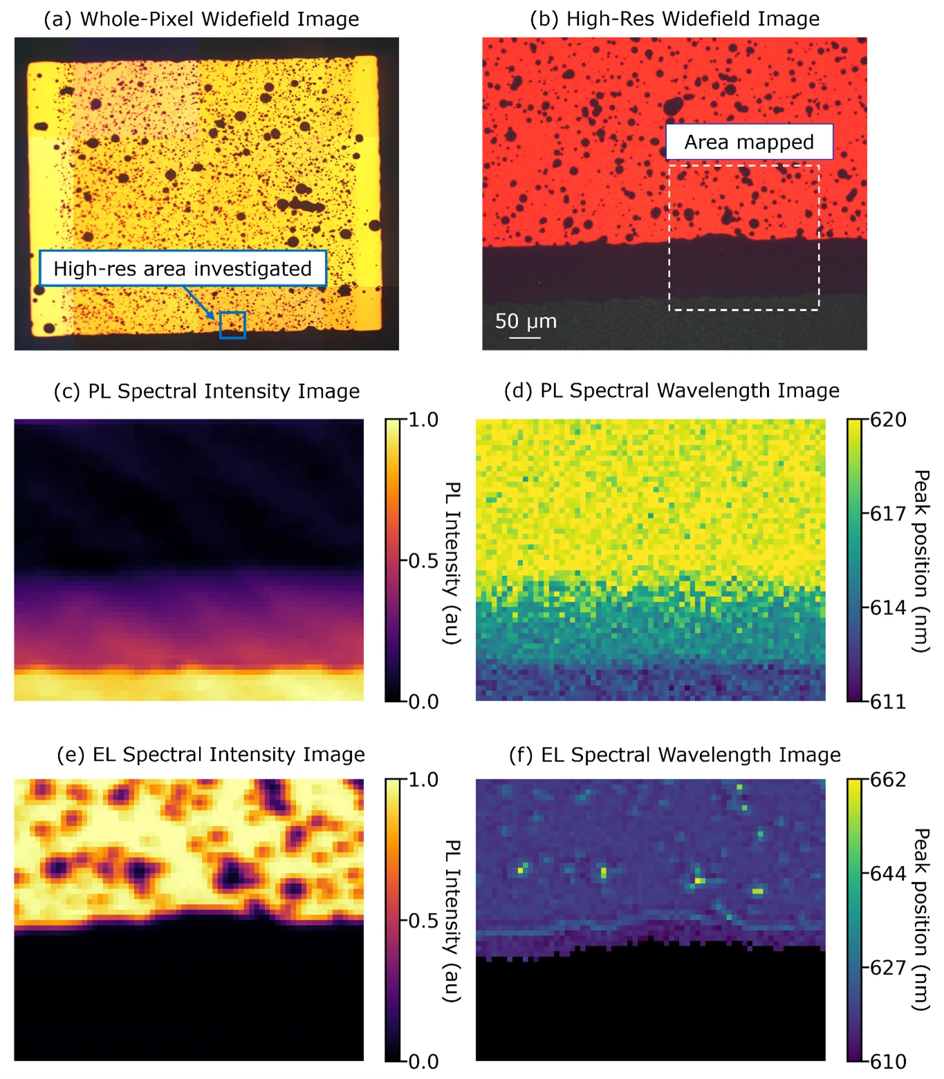 . (a) Whole-pixel and (b) high-resolution widefield images of electroluminescent OLED pixel. (c) PL intensity and (d) peak wavelength images of the EL boundary of the OLED pixel. (e) EL intensity and (f) peak wavelength images of the same area.