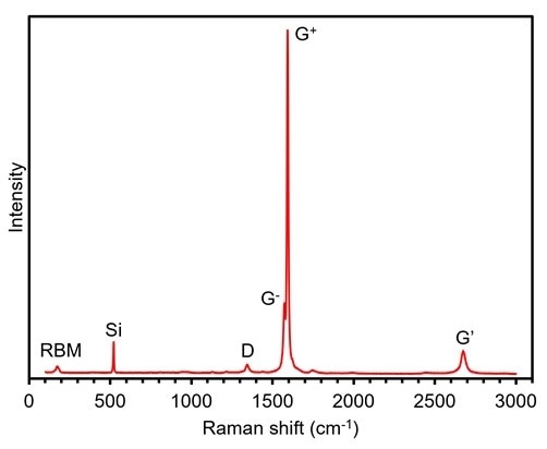 Raman spectrum of CNTs.