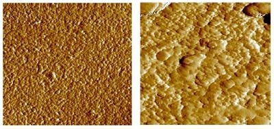 Microstructure changes observed during sintering. The micrograph on the left shows the dispersed particles within the ceramic green body. On the right the structure following sintering is shown for the same material. Here the grains have grown to form an interlocking network.