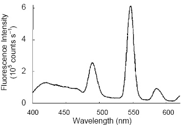 Fluorescence emission spectrum of the phosphor complex, showing luminescence in the visible range.