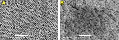 AZoJoMo – AZoM Journal of Materials Online : (a) scanning electron micrographs of the close-packed array of latex spheres and (b) the hybrid, dye-functionalized silica replica