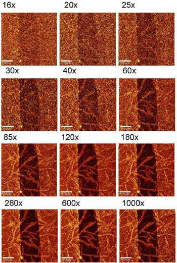 Comparison of confocal Raman images acquired with different settings of the EMCCD gain.