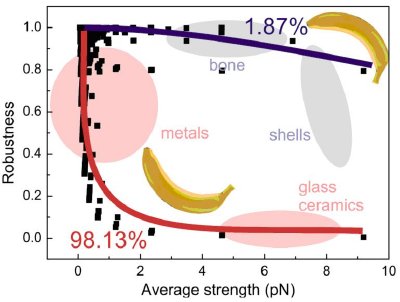 Schematic of the robustness-strength domain, comparing engineered materials and biological materials. The squares represent different hierarchical structures, designed based on more than 16,000 alpha-helical protein filaments. The analysis shows that most random arrangements (98.13%) fall on the so-called banana curve, while fewer, specifically designed structures (1.98%) fall on the inverse banana curve (figure taken from Ref. #3).