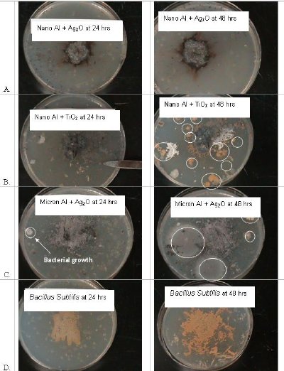 Al-based metallic foams after exposure A. Ag2O; B. nano TiO2; C. micron Ag2O; D. control