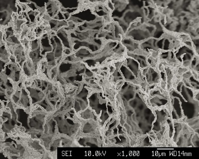 Superconducting YBCO sponge synthesized using dextran. Scale bar is 10 microns.
