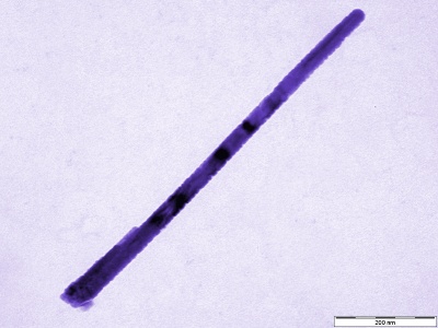 Superconducting YBCO nanowire synthesized using chitosan. Scale bar is 200 nm.