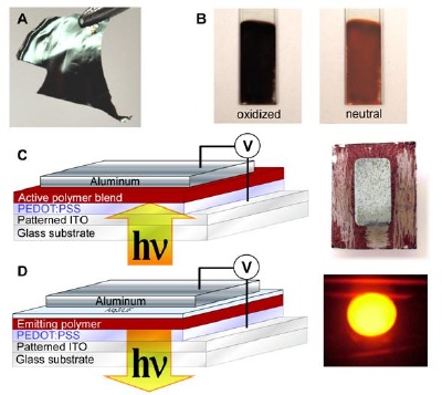 Free standing conjugated polymer film (A) and examples of electrochromics (B), OPV devices (C)13 and OLED devices (D)