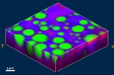 Three dimensional reconstruction image of the distribution of the oil, alkane and water (Green: Oil, Red: Alkane, Blue: Water, 30 x 30 x 11.5 µm, 150 x 150 x 23 pixel, 517 500 Raman spectra, total acquisition time of the stack: 23 min).