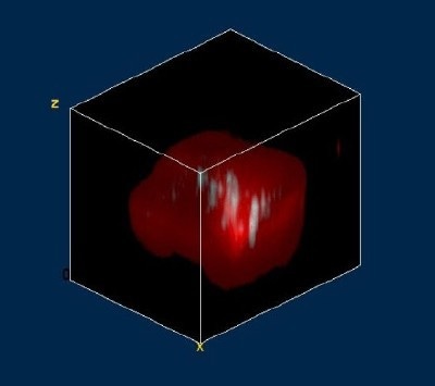 Three dimensional reconstruction image of the diamond inclusion in quartz (Red: Diamond; Turquoise: Impurities; 13 x 16 x 15 µm, 100x100x12 pixel, 144,000 Raman spectra).