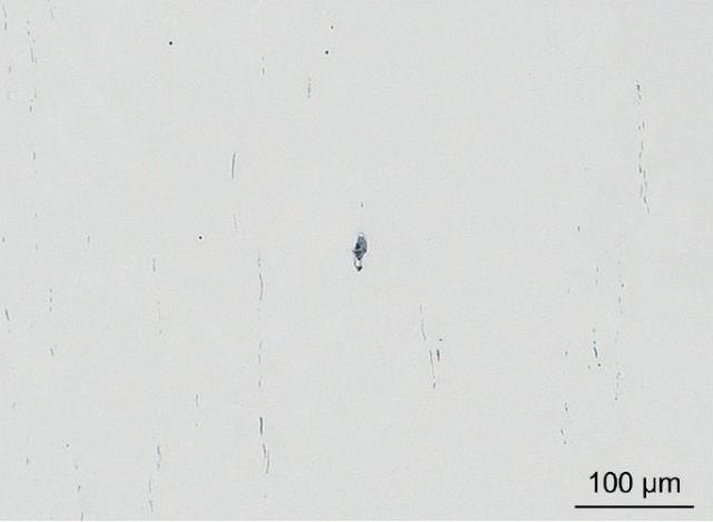 LM image of 16MnCr5 steel grade showing elongated and aligned sulfide inclusions (grey) and small globular oxide inclusions (black). Note that the rather large conspicuou