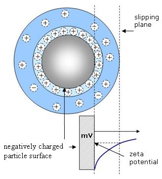 Zeta potential of a negatively charged particle