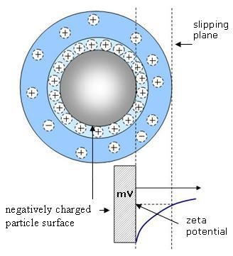 Zeta potential of a negatively charged particle