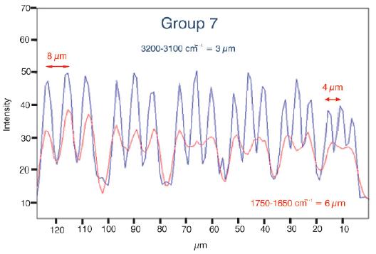 Resolution profile. This figure shows a cut through group 6 and 7 according to the red lines drawn in figure 1c. The blue trace corresponds to the profile at 3200 cm-1 and the red trace corresponds to the profile at 1650 cm-1.