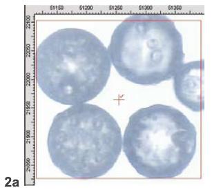 IR image of polystyrene beads (8cm-1 resolution, 15x, transmission). 2a: Beads look very similar in the visible image. 2b: Representative IR spectra for a number of detector pixels. 2c: Similarity of the original spectra to the three relevant principal components; 2d: RGB image made up of the three relevant principal components.