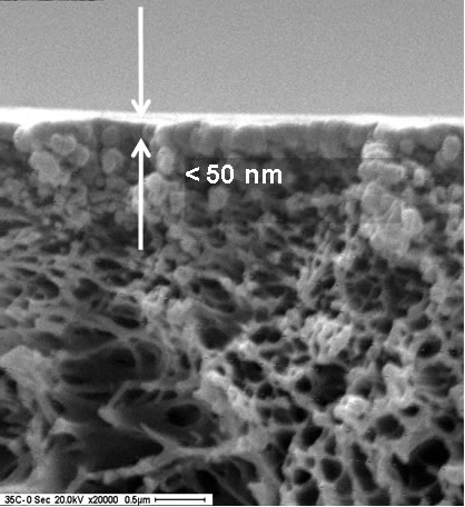 Ultra-thin skin of an asymmetric membrane