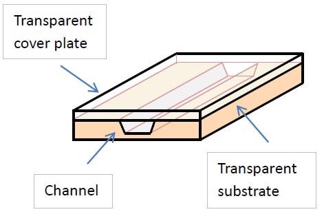 Schematic representation of a microfluidics device.