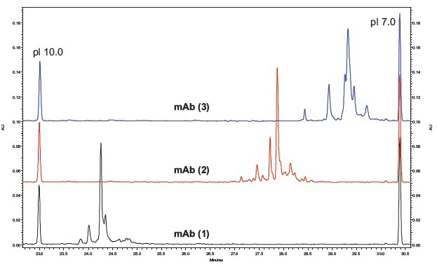 cIEF Separations of Three Basic mAb’s. Electropherograms for three basic mAbs separated by cIEF using the same conditions as shown in Figure 4.