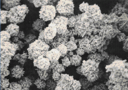 Microscopic Image of silver filler particles in an epoxy compound