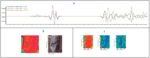 Analysis of healthy rat brain tissue. (A) Shows the second derivatives of the spectral components generated from the multivariate curve resolution. (B) Is the RGB plot displaying the relative coverage of the components seen in A along with the video capture of the sample. (C) Shows the relative coverage of the three components generated from the multivariate curve resolution.