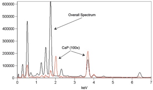 Spectral display showing the overlap of the cumulative spectrum from all pixels in a spectralimaging data set (black) and the spectrum from very small particles of a Ca-P enriched phase (red). Note that the amplitude of the P peak at ~2 keV cannot be detected with conventional peak identification routines
