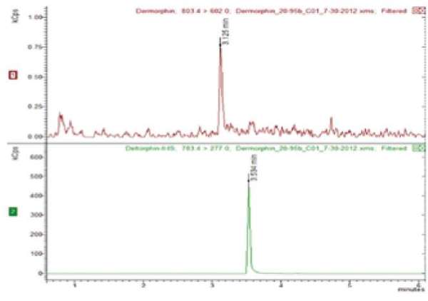 Chromatogram of demorphin at 0.05ng/mL (LOQ) and the IS deltorphin (green trace) in equine urine.