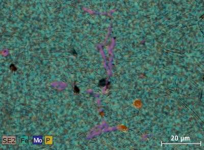 SE image of the same area as in Fig. 1 overlapped with molybdenum, iron, and phosphorus mappings obtained with EDS.
