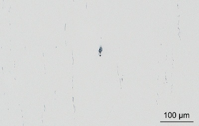 LM image of 16MnCr5 steel grade showing elongated and aligned sulfide inclusions (grey) and small globular oxide inclusions (black).