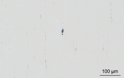 LM image of 16MnCr5 steel grade showing elongated and aligned sulfide inclusions (grey) and small globular oxide inclusions (black).