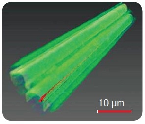 A volume rendering of two bonded carbon fibers is shown here, with a long, thin void labeled with red.