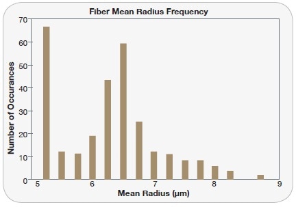 Quantification of fiber mean radius