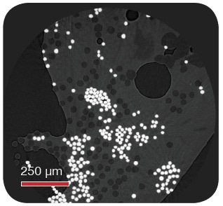 Virtual cross-section of Twintex composite, showing polypropylene (dark) fibers and E-glass (bright) fibers. Voids in the composite can clearly be seen as dark spherical shapes. Courtesy of Professor Milani, University of British Columbia