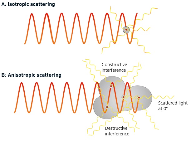 A. An isotropic scatterer is small relative to the wavelength of the light and scatters light evenly in all directions. B. An anisotropic scatterer has significant size compared with the wavelength of the incident light and scatters light in different directions with different intensities.