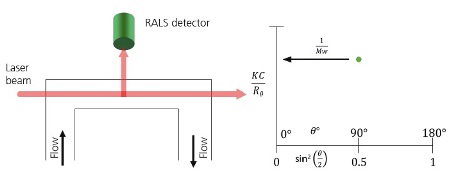 A. Schematic of a RALS detector showing the flow passing through the flow cell. Light from the laser enters at the end of the cell and is collected at 90°. B. When using RALS, the Debye plot is reduced to a single point which is assumed to be equal at every angle and therefore equal 1/Mw.